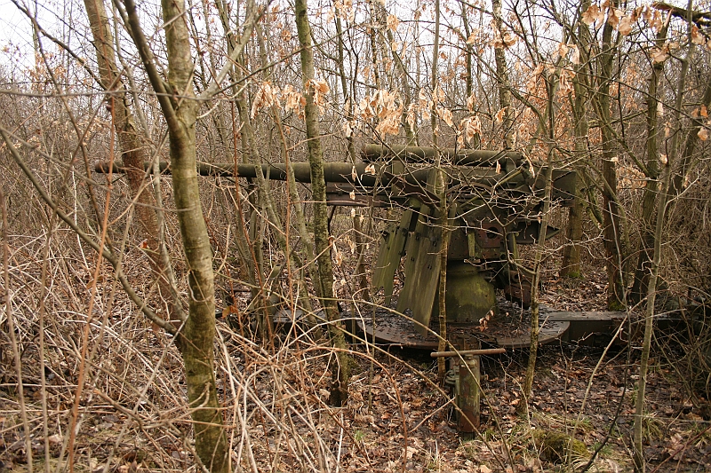 JuraSportPasternik 152